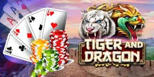 กลยุทธ์การเล่น Dragon Tiger ที่มีประสิทธิภาพที่ TIGER711
